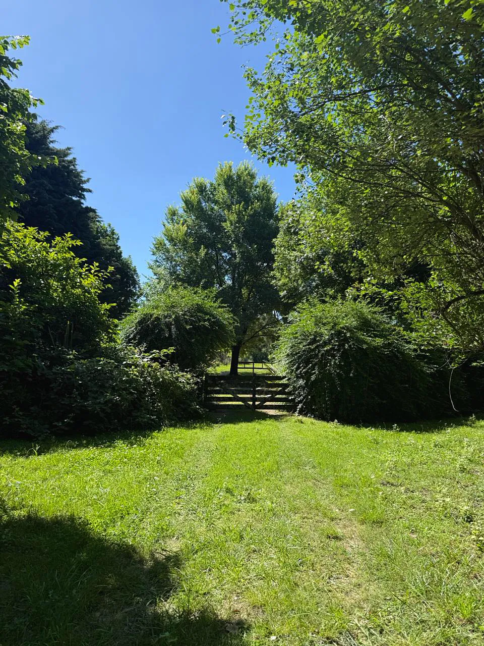 Portón de acceso entre la vegetación de un jardín arbolado